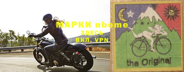 прущие грибы Вязьма