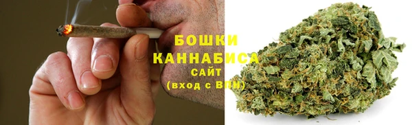 прущие грибы Верхний Тагил