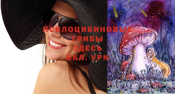 ешки Волоколамск
