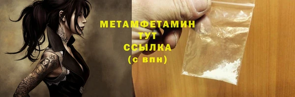 прущие грибы Вязьма