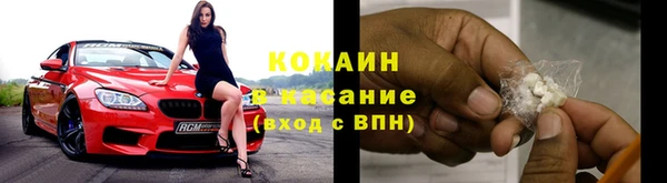 прущие грибы Вязьма