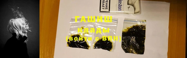 прущие грибы Вязьма