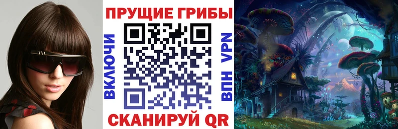 цена наркотик  Дмитриев  Псилоцибиновые грибы Magic Shrooms 