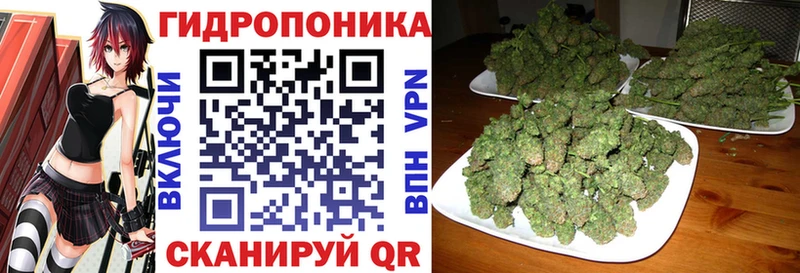 Шишки марихуана THC 21% hydra ссылки Дмитриев